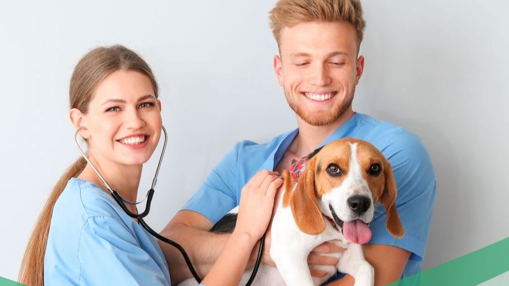 Iumiuky Curso Superior Auxiliar Clínico Veterinaria