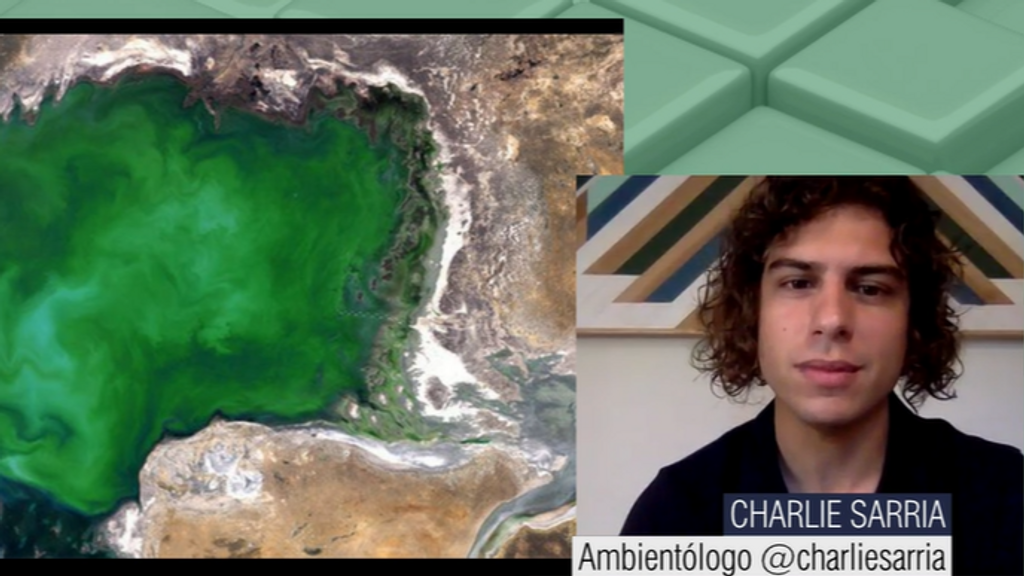 El ambientólogo Sarria explica el motivo por el que el color de los océanos está cambiando de azul a verde: "El aumento del efecto invernadero..."
