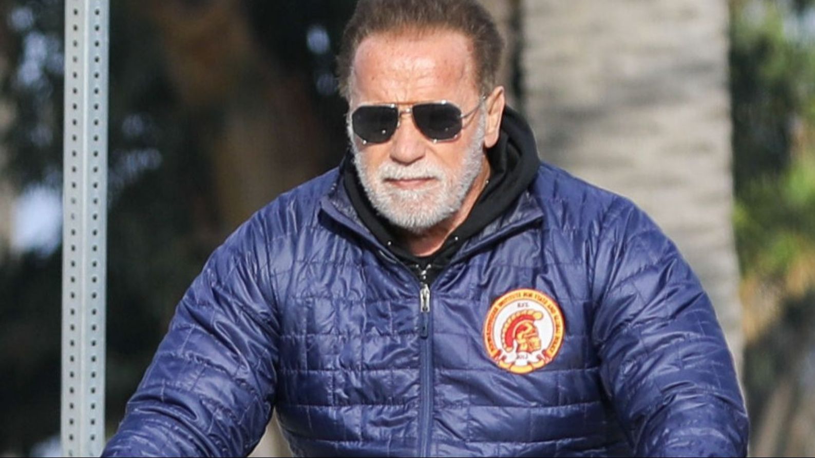 Arnold Schwarzenegger
