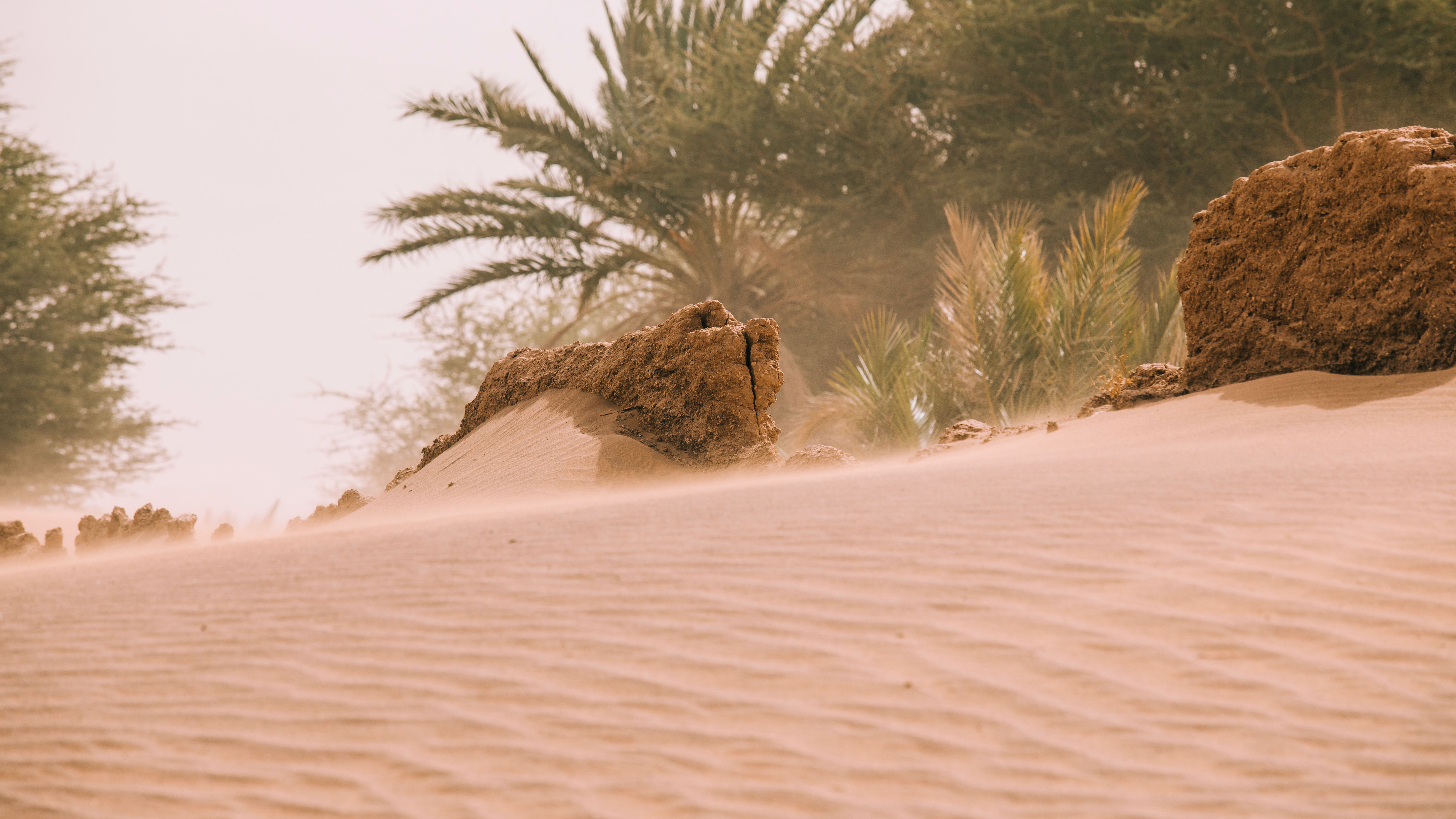Forma parte de Neom, una nueva ciudad futurista en Arabia Saudi Forma parte de Neom, una nueva ciudad futurista en Arabia Saudi