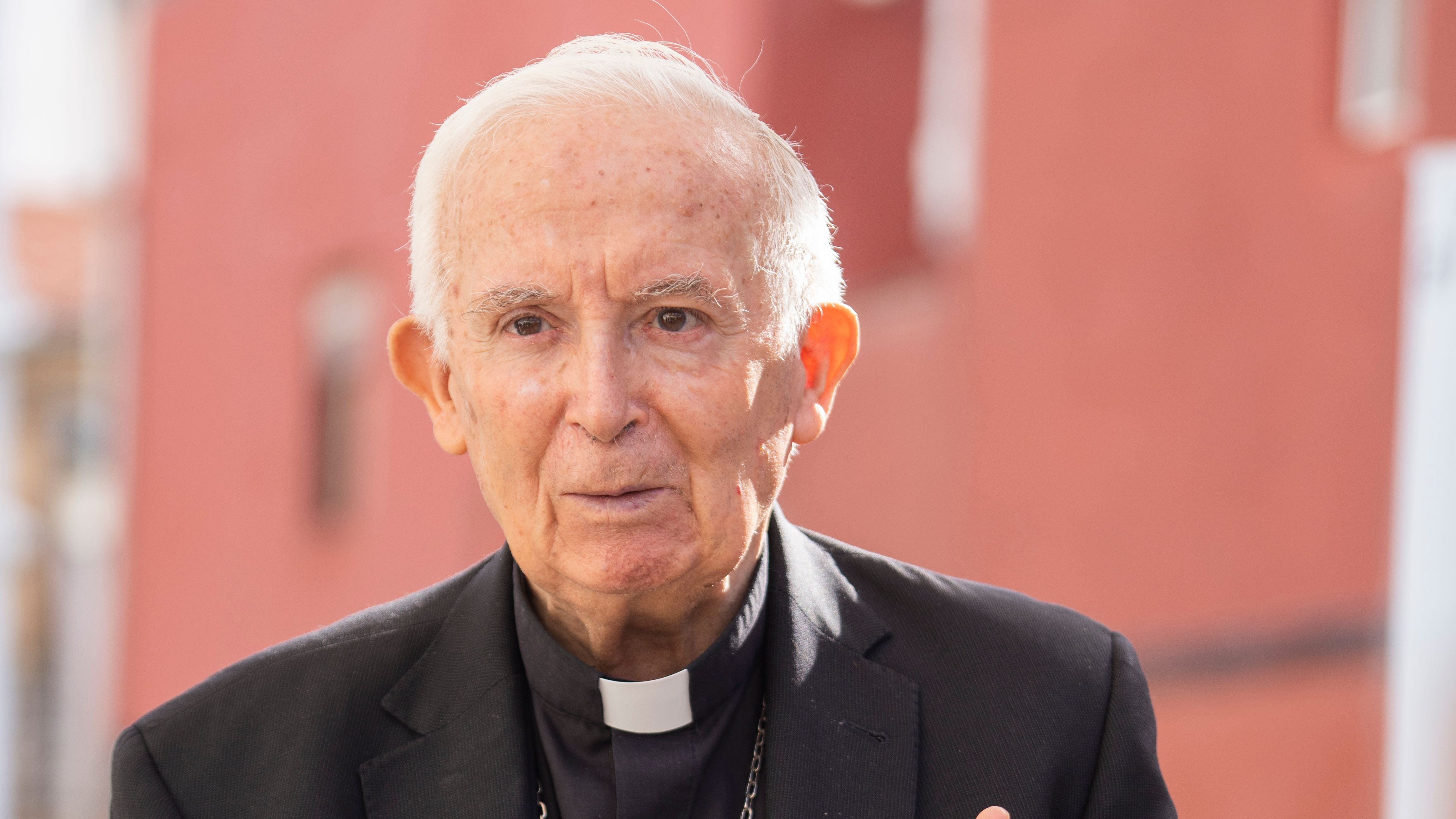 El cardenal Antonio Cañizares