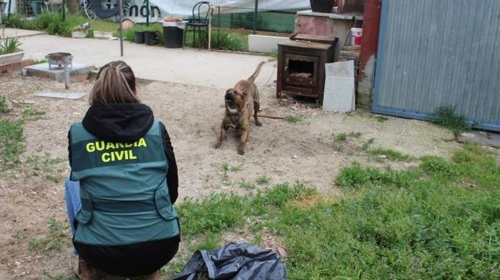 Una agente de la Guardia Civil junto al perro que ha atacado a la menor.