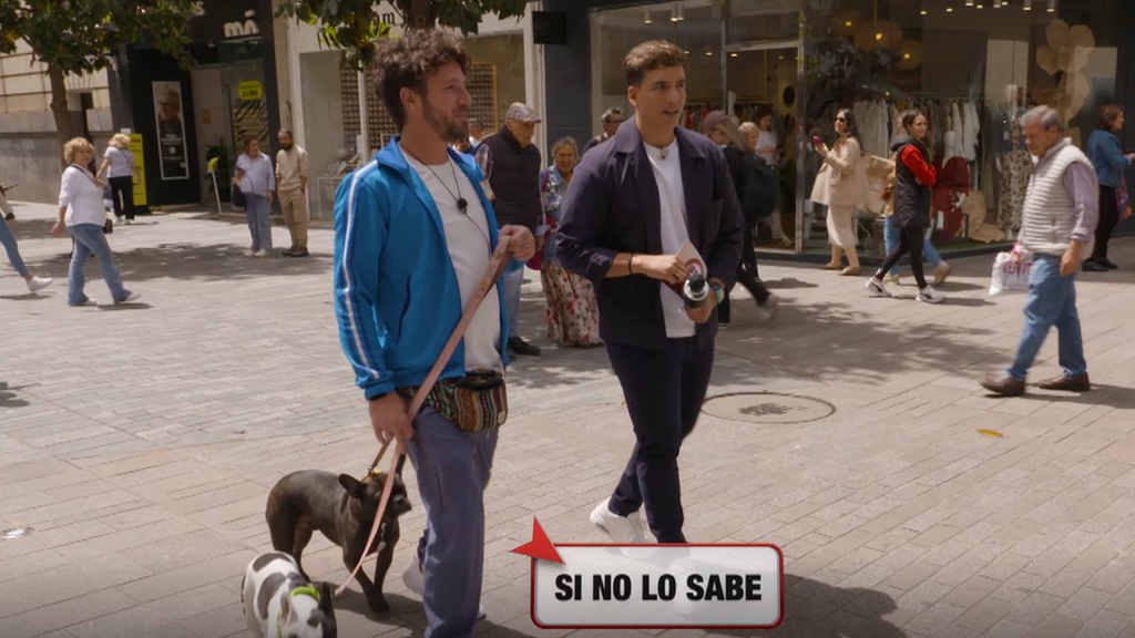 La perrita de un concursante de ‘Lo sabe, no lo sabe’ tiene un imprevisto en directo: “Está echando el mojón”